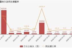 綠源上市首年業績穩定增長的成功原因分析