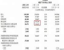 新希望教育集團財務狀況分析與展望考試大綱