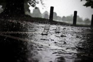 撒哈拉沙漠的奇跡，暴雨引發的洪水現象及其影響